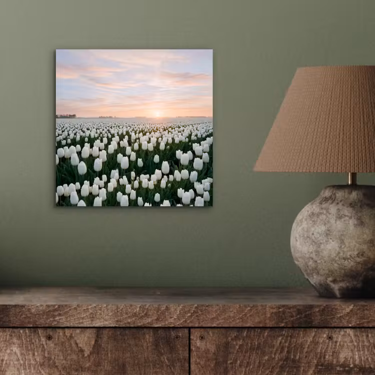 Aluminium schilderij - Tulpen - Landschap - Wit — 3