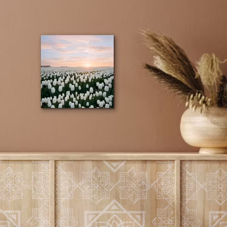 Aluminium schilderij - Tulpen - Landschap - Wit — 5