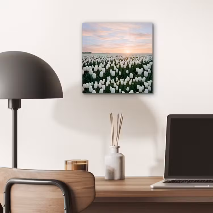 Aluminium schilderij - Tulpen - Landschap - Wit — 6
