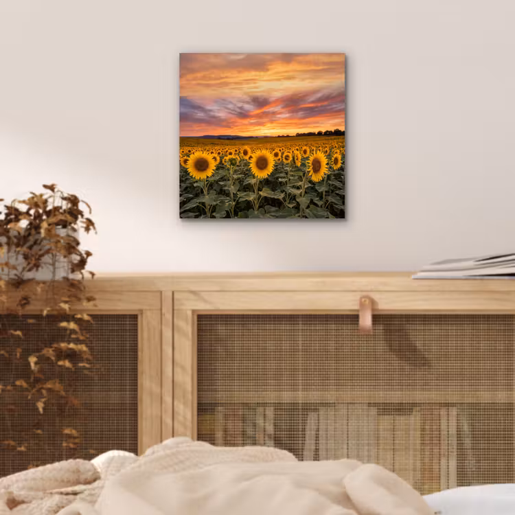 Aluminium schilderij - Zonnebloemen - Heuvellandschap - Geel — 4