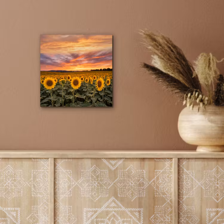 Aluminium schilderij - Zonnebloemen - Heuvellandschap - Geel — 5