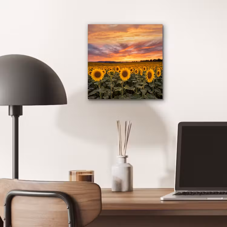 Aluminium schilderij - Zonnebloemen - Heuvellandschap - Geel — 6