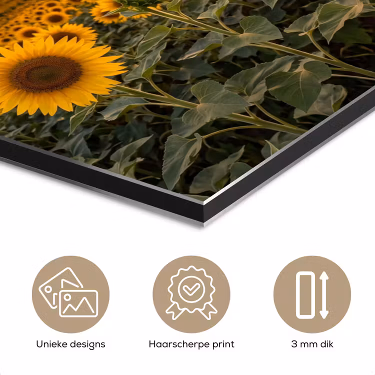 Aluminium schilderij - Zonnebloemen - Heuvellandschap - Geel — 7
