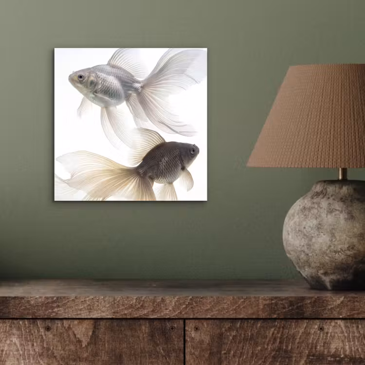 Aluminium schilderij - Goudvissen - Modern - Wit — 3