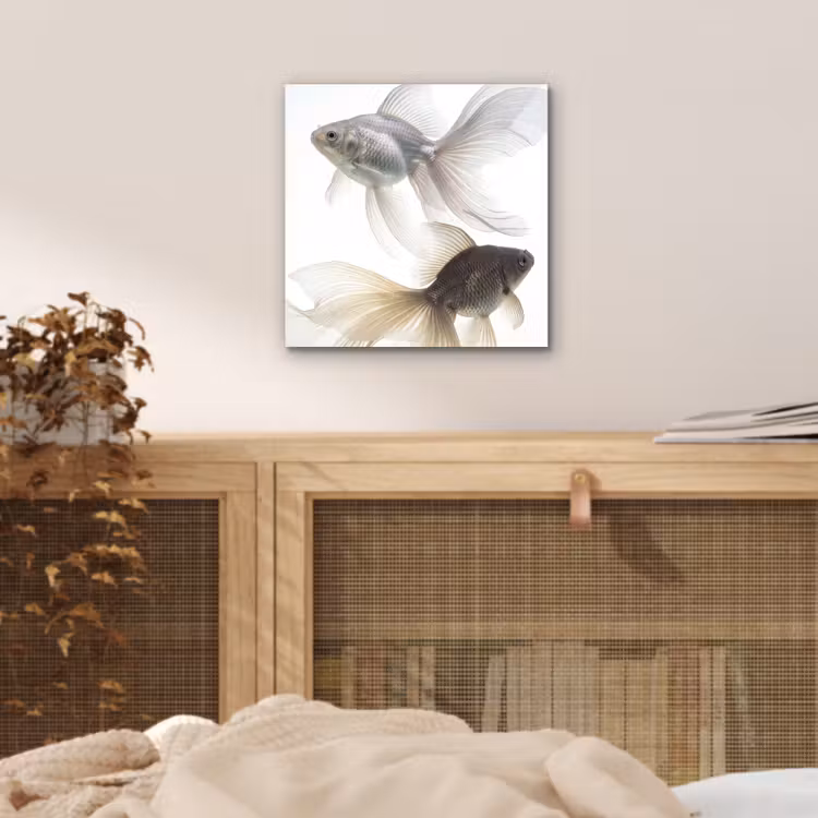 Aluminium schilderij - Goudvissen - Modern - Wit — 4