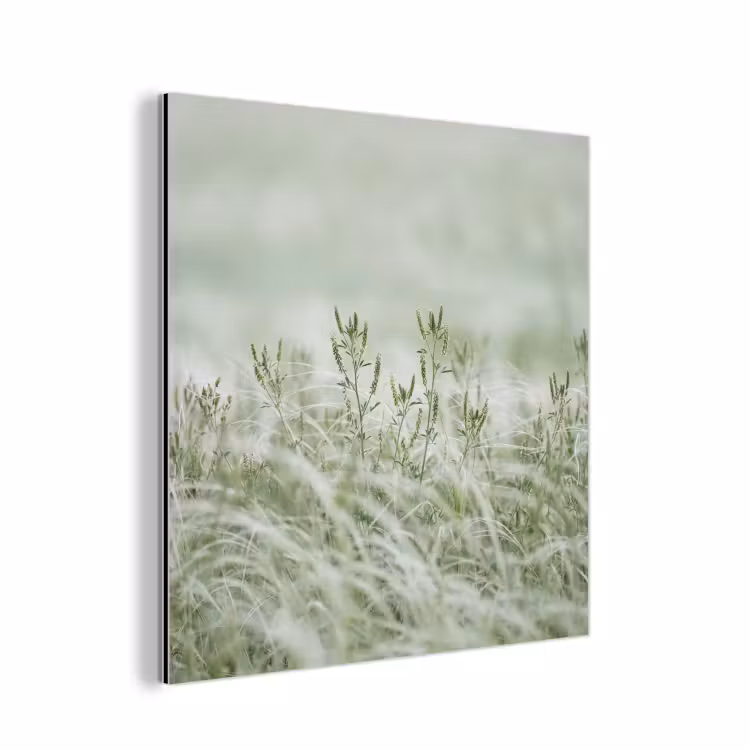 Aluminium schilderij - Grassen - Minimalistisch - Groen — 1