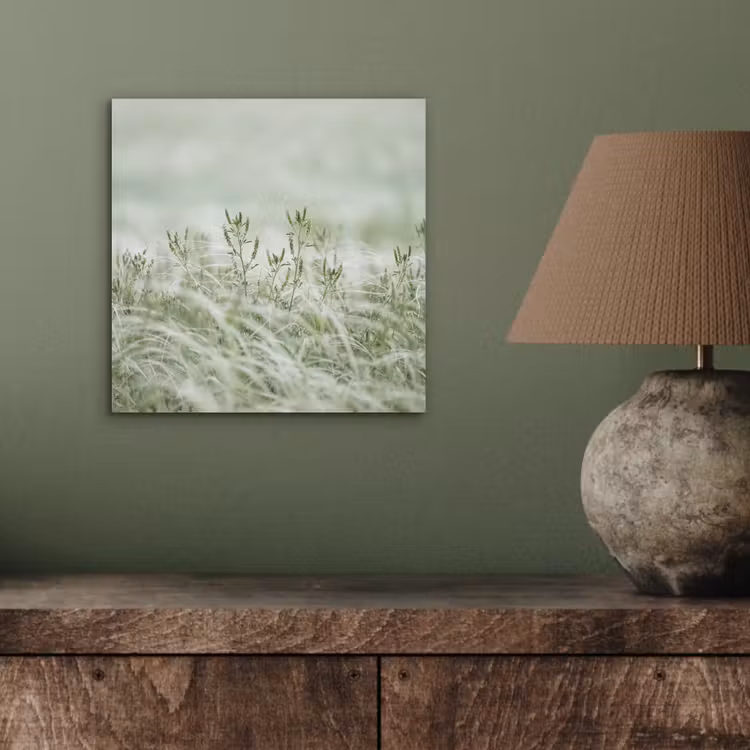Aluminium schilderij - Grassen - Minimalistisch - Groen — 3
