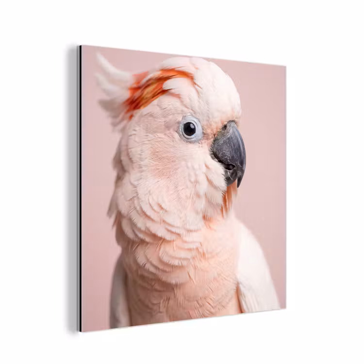 Aluminium schilderij - Kaketoe - Portret - Roze — 1