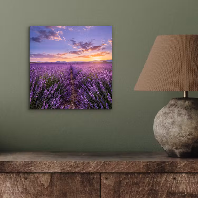 Aluminium schilderij - Lavendel - Veld - Natuur - Paars — 3