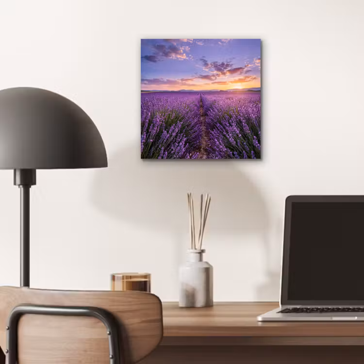 Aluminium schilderij - Lavendel - Veld - Natuur - Paars — 6