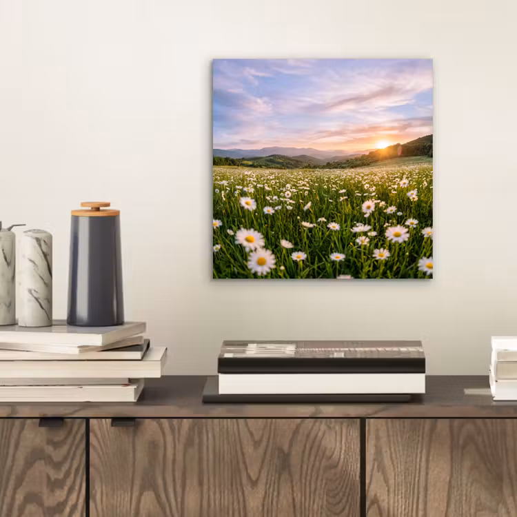 Aluminium schilderij - Madelief - Veld - Heuvels - Groen — 2