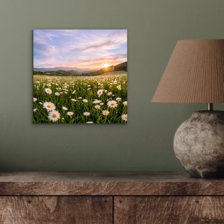 Aluminium schilderij - Madelief - Veld - Heuvels - Groen — 3