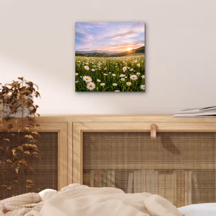 Aluminium schilderij - Madelief - Veld - Heuvels - Groen — 4