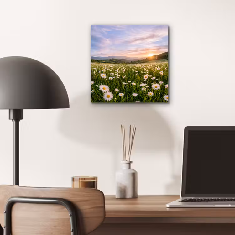 Aluminium schilderij - Madelief - Veld - Heuvels - Groen — 6