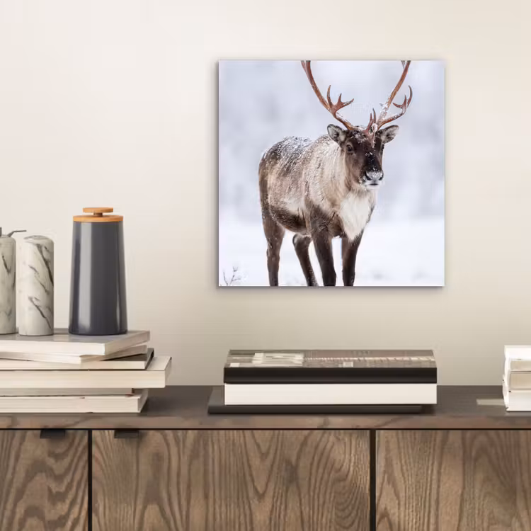 Aluminium schilderij - Rendier - Gewei - Toendra - Sneeuw - Wild — 2