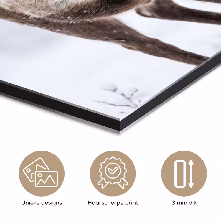 Aluminium schilderij - Rendier - Gewei - Toendra - Sneeuw - Wild — 7