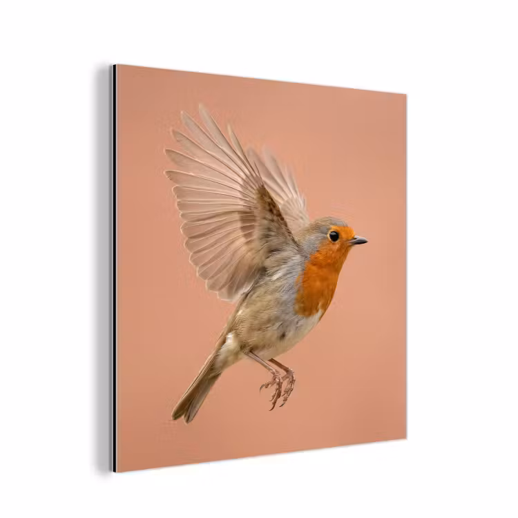 Aluminium schilderij - Roodborst - Natuur - Roze — 1