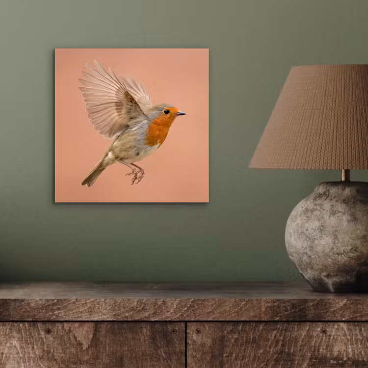Aluminium schilderij - Roodborst - Natuur - Roze — 3