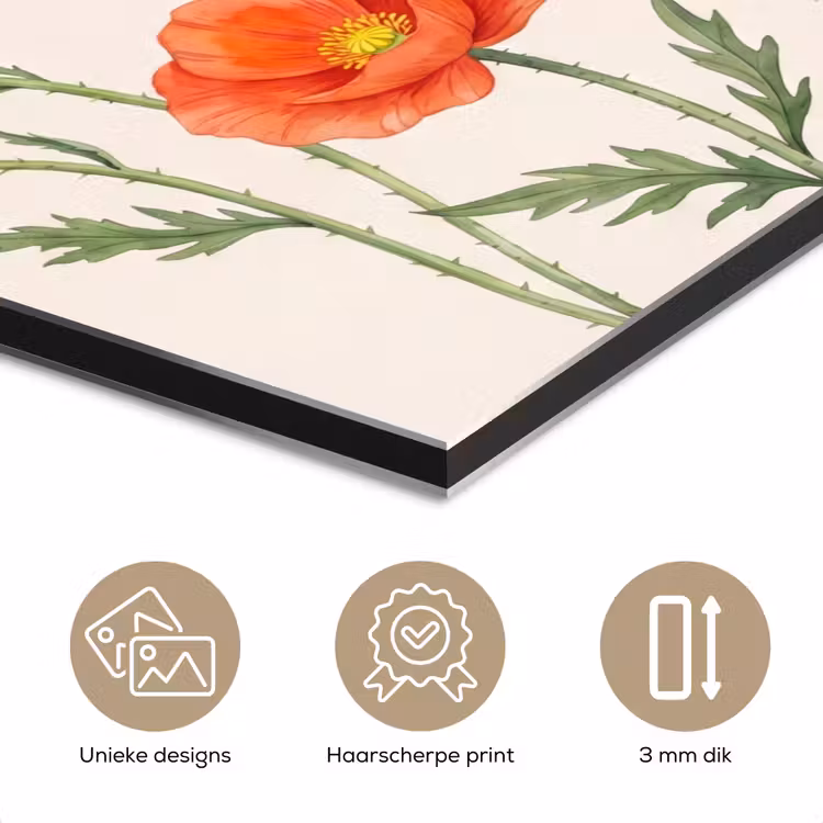Aluminium schilderij - Vlinders - Klaprozen - Illustratie - Kleurrijk — 7