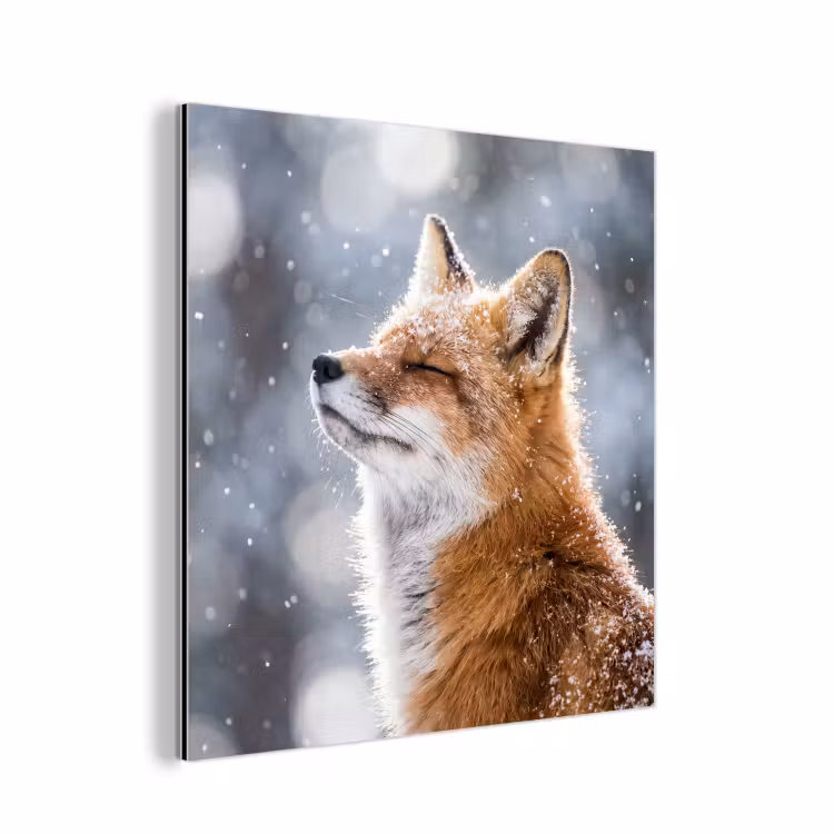 Aluminium schilderij - Vos - Sneeuwval - Portret - Winter - Sfeervol — 1