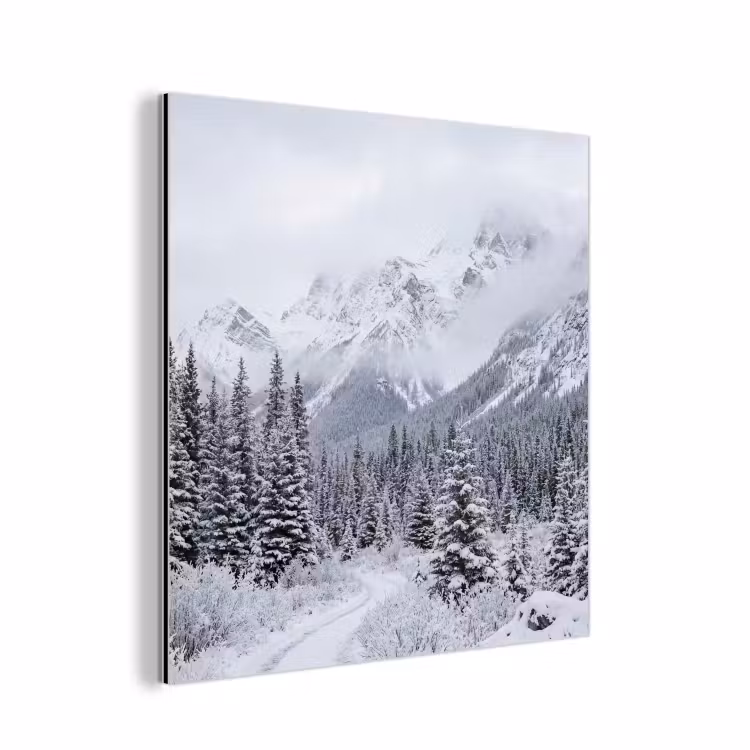 Aluminium schilderij - Weg - Bergen - Sneeuw - Naaldbos - Avontuurlijk — 1