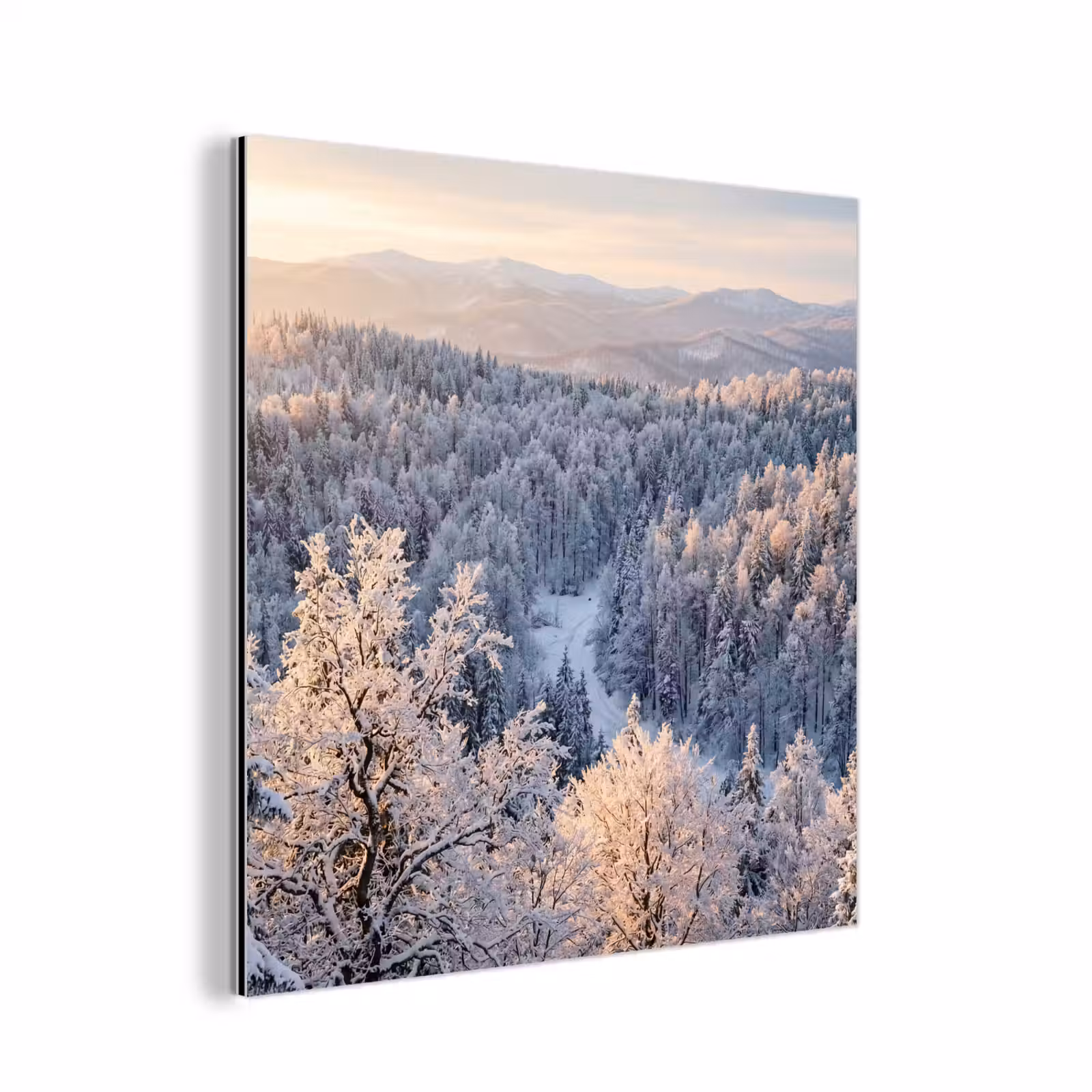 Aluminium schilderij - Bos - Bergen - Goud - Winter - Warm — 1