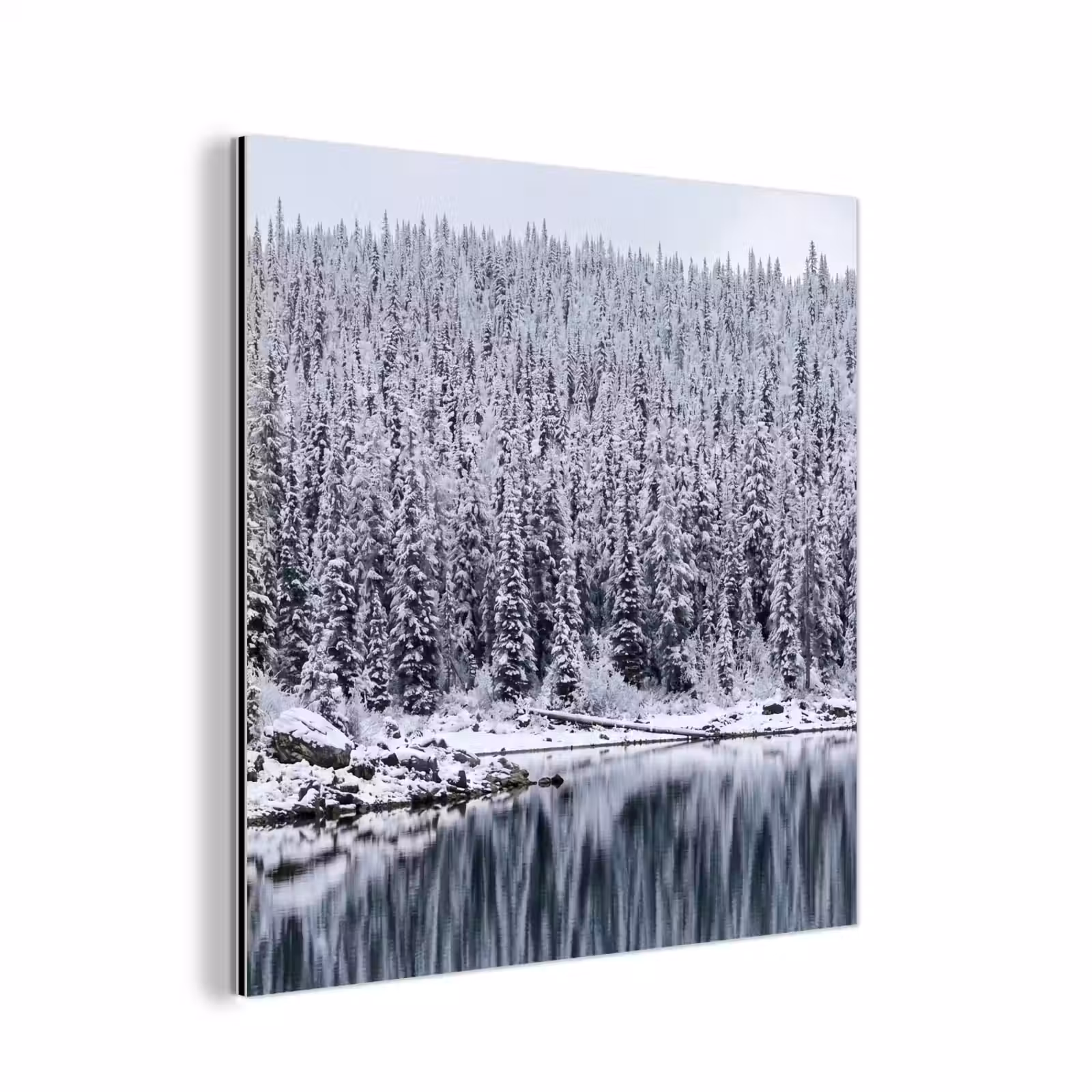 Aluminium schilderij - Bos - Reflectie - Meer - Winter - Serene — 1
