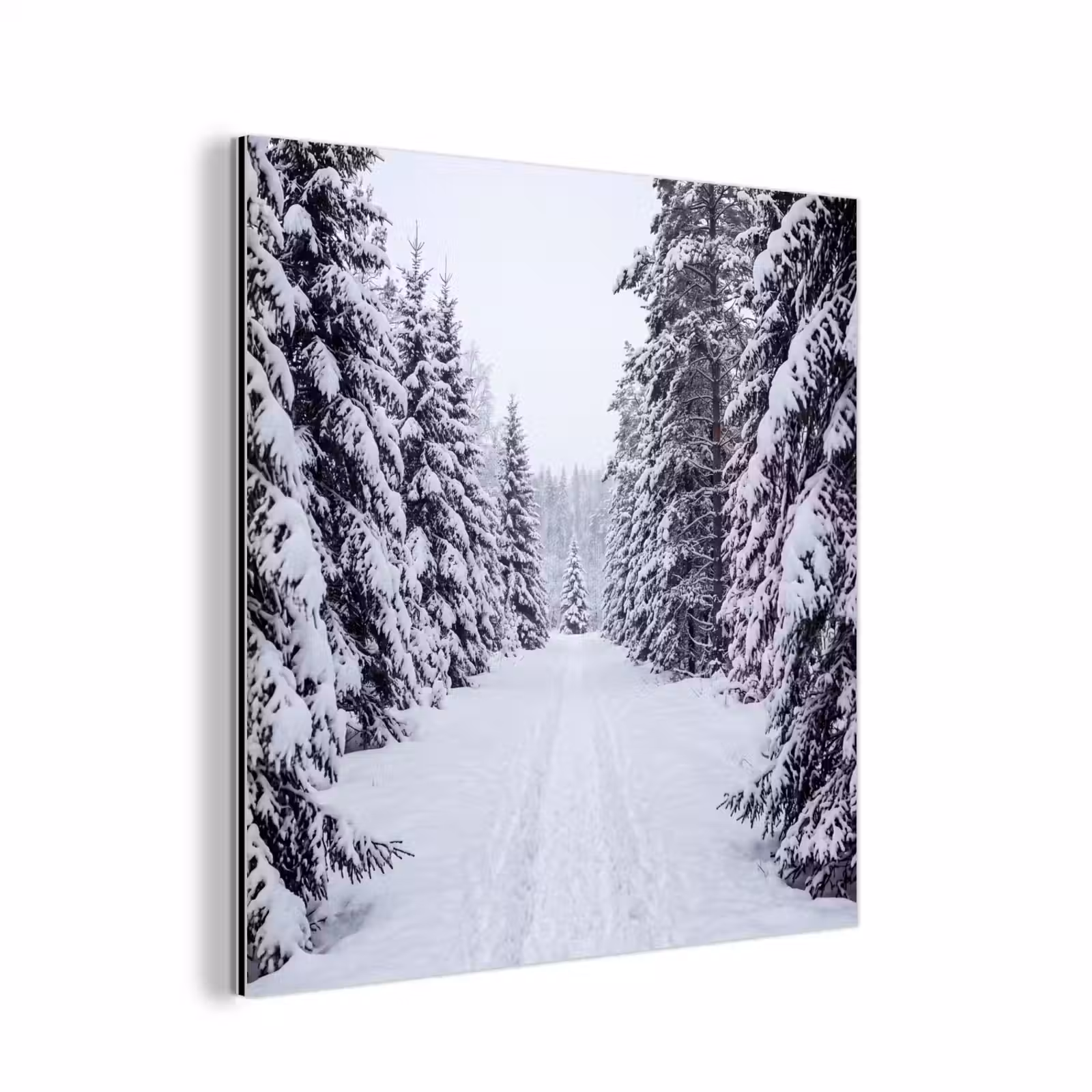 Aluminium schilderij - Bos - Winter - Sneeuw - Pad - Natuur — 1