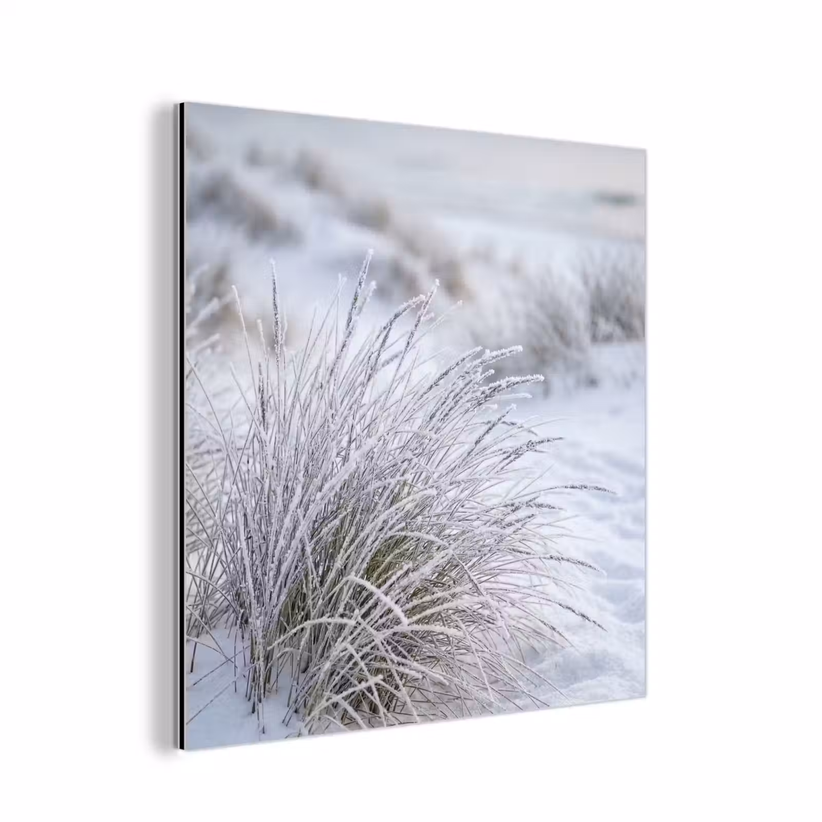 Aluminium schilderij - Duinen - Sneeuw - Strand - Winter - Serene — 1