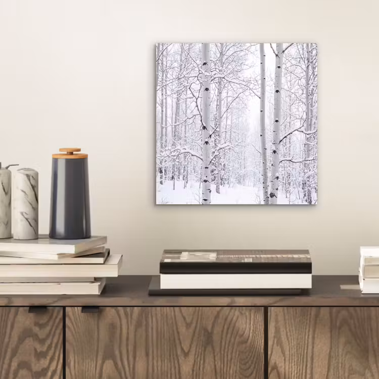 Aluminium schilderij - Berkenbomen - Sneeuw - Winter - Bos - Wit — 2