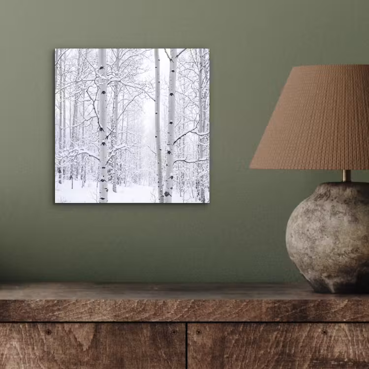 Aluminium schilderij - Berkenbomen - Sneeuw - Winter - Bos - Wit — 3