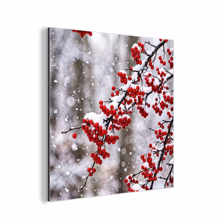 Aluminium schilderij - Bessen - Takken - Sneeuw - Winter - Kleurrijk — 1
