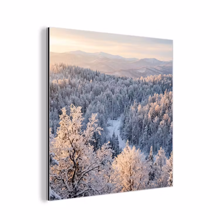 Aluminium schilderij - Bos - Bergen - Goud - Winter - Warm — 1