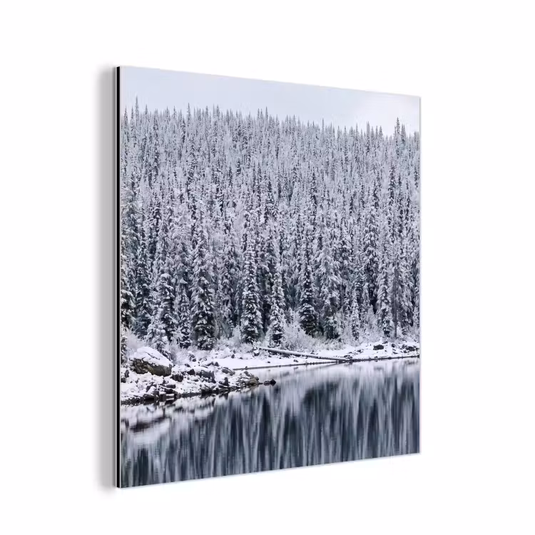 Aluminium schilderij - Bos - Reflectie - Meer - Winter - Serene — 1