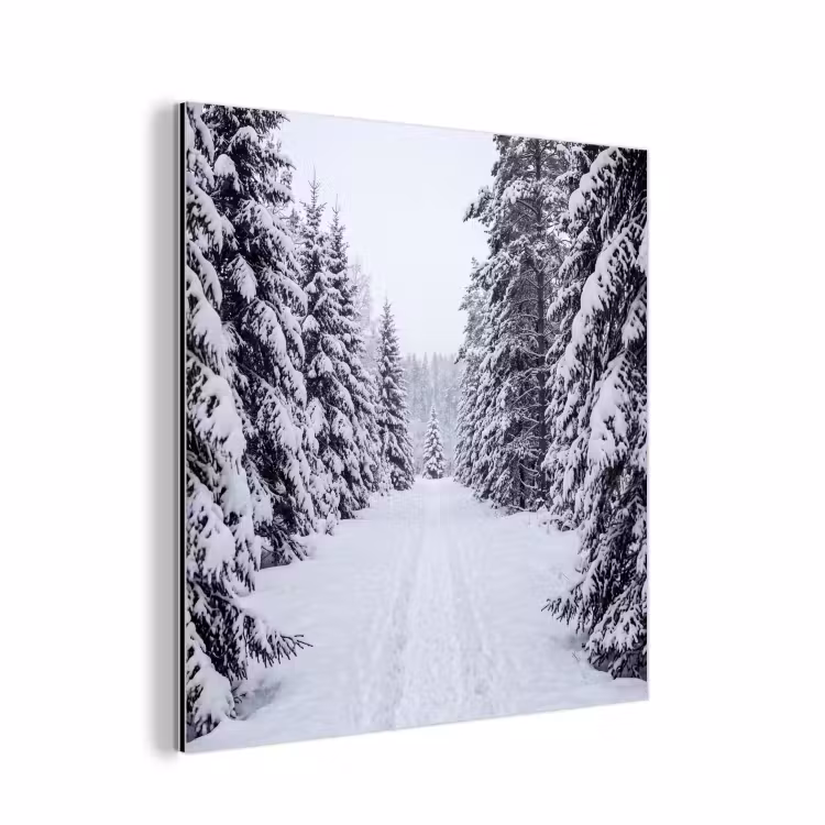 Aluminium schilderij - Bos - Winter - Sneeuw - Pad - Natuur — 1