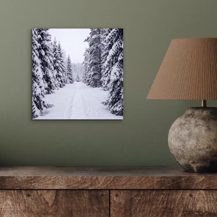 Aluminium schilderij - Bos - Winter - Sneeuw - Pad - Natuur — 3
