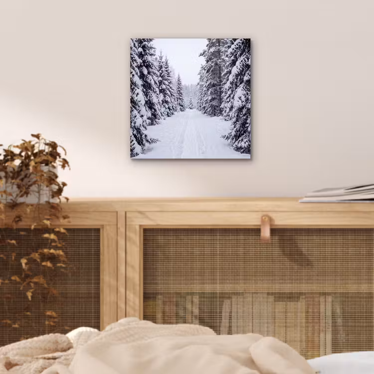 Aluminium schilderij - Bos - Winter - Sneeuw - Pad - Natuur — 4