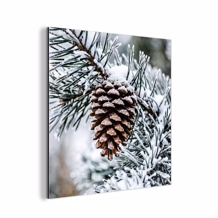 Aluminium schilderij - Dennenappel - Tak - Sneeuw - Winter - Sfeervol — 1