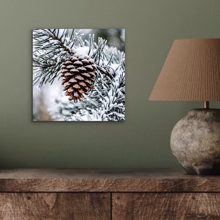 Aluminium schilderij - Dennenappel - Tak - Sneeuw - Winter - Sfeervol — 3
