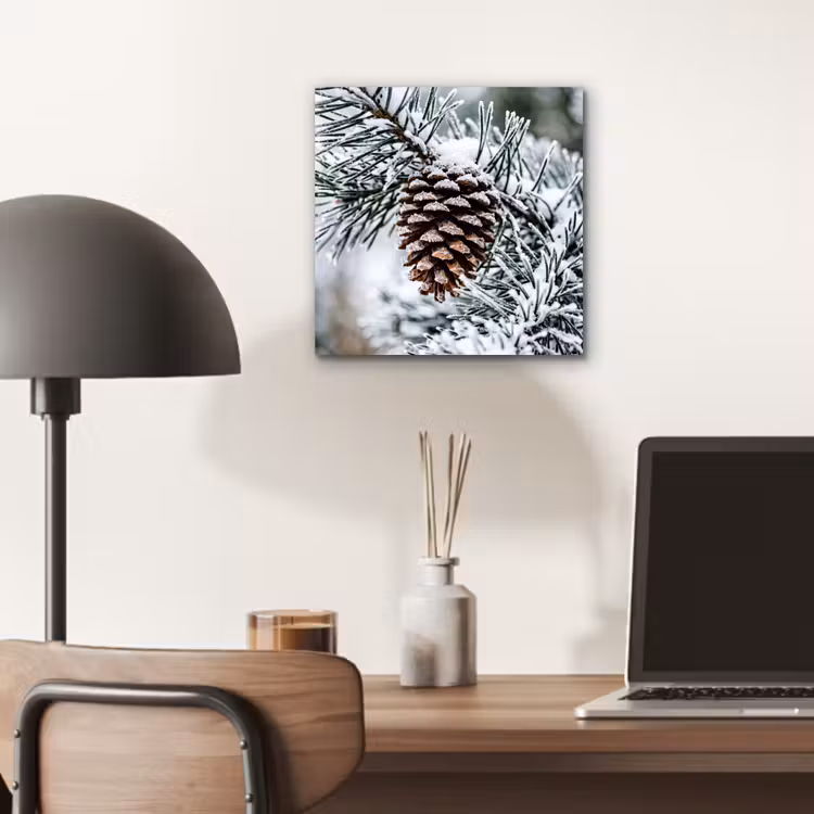 Aluminium schilderij - Dennenappel - Tak - Sneeuw - Winter - Sfeervol — 6