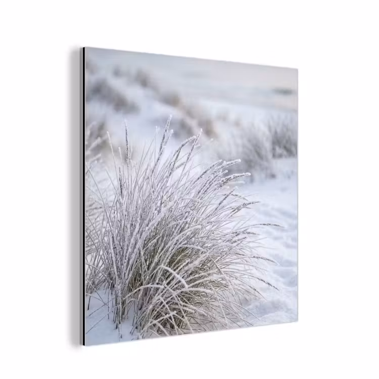 Aluminium schilderij - Duinen - Sneeuw - Strand - Winter - Serene — 1