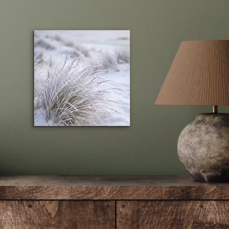 Aluminium schilderij - Duinen - Sneeuw - Strand - Winter - Serene — 3