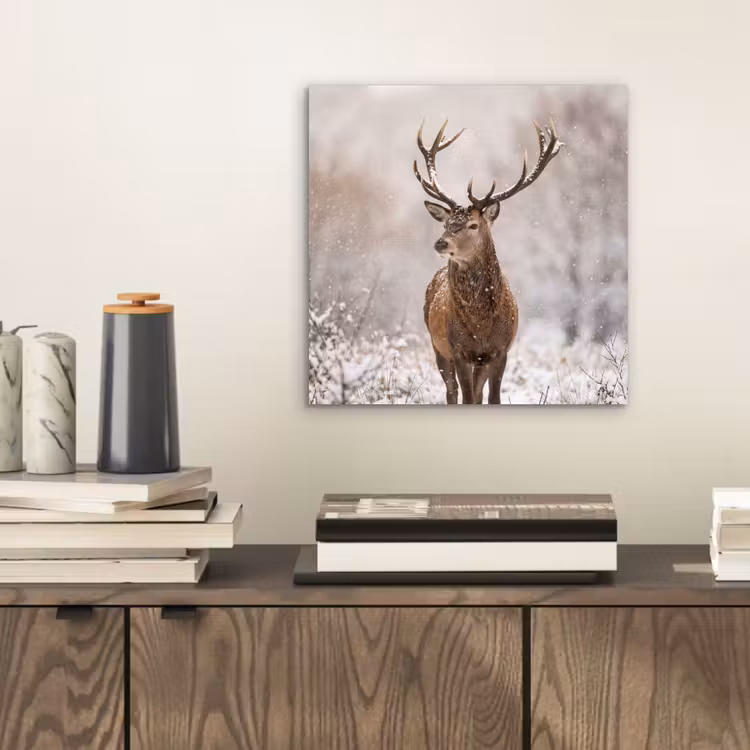 Aluminium schilderij - Edelhert - Bos - Sneeuw - Winter - Majestueus — 2