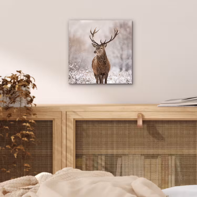 Aluminium schilderij - Edelhert - Bos - Sneeuw - Winter - Majestueus — 4