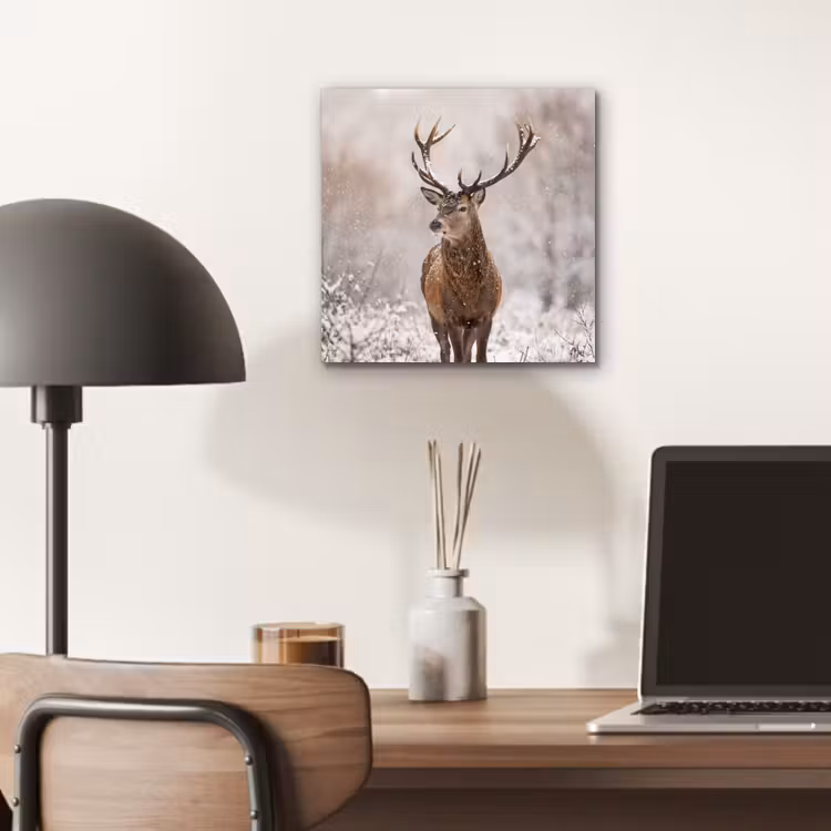 Aluminium schilderij - Edelhert - Bos - Sneeuw - Winter - Majestueus — 6