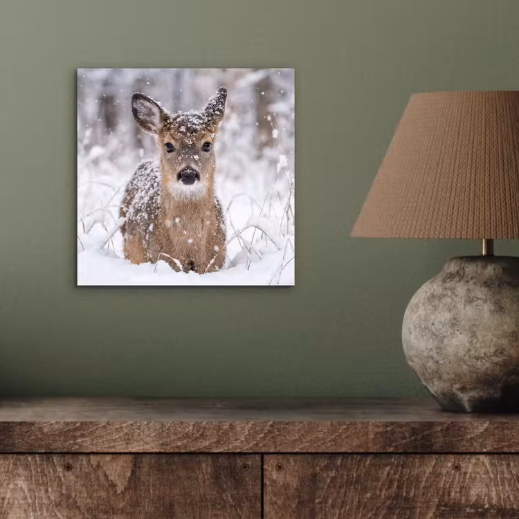 Aluminium schilderij - Hert - Sneeuw - Bos - Dieren - Vertederend — 3