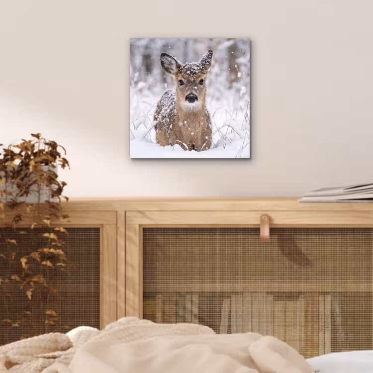 Aluminium schilderij - Hert - Sneeuw - Bos - Dieren - Vertederend — 4