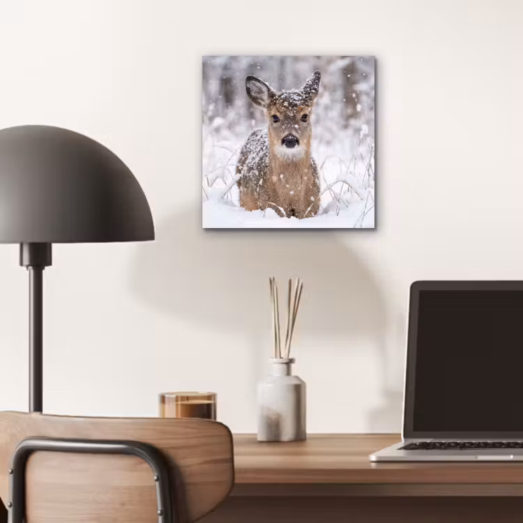 Aluminium schilderij - Hert - Sneeuw - Bos - Dieren - Vertederend — 6