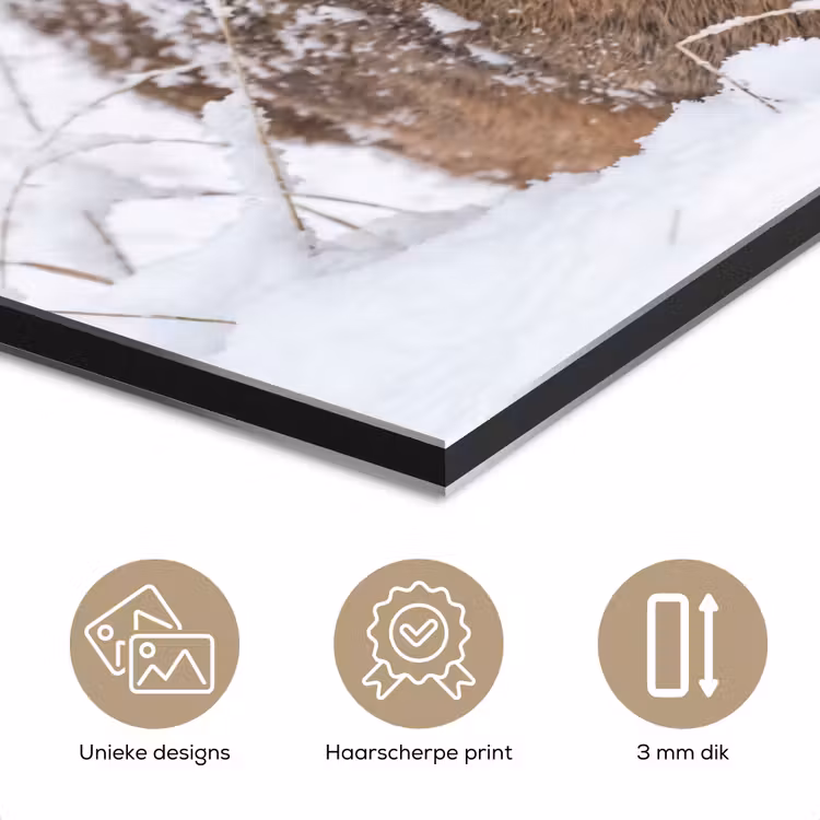 Aluminium schilderij - Hert - Sneeuw - Bos - Dieren - Vertederend — 7