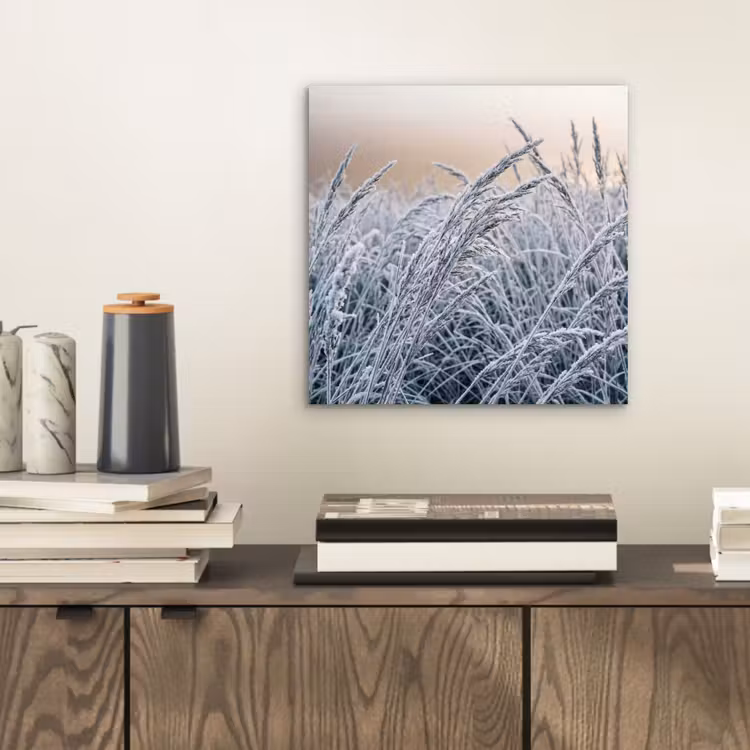 Aluminium schilderij - Rijp - Gras - Kristallen - Winter - Minimalistisch — 2